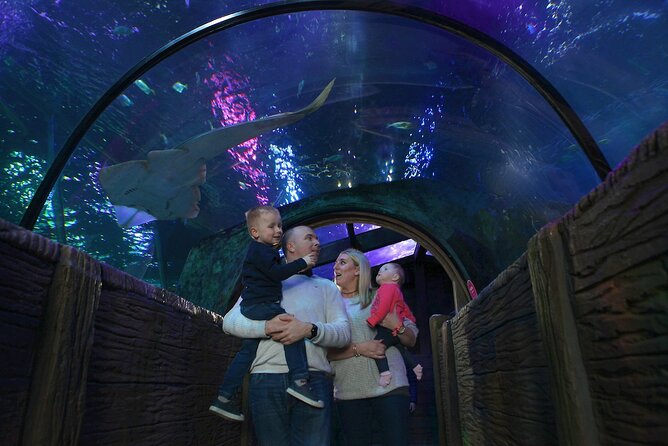 SEA LIFE Blackpool Admission Ticket - What your $19.32 ticket gets you