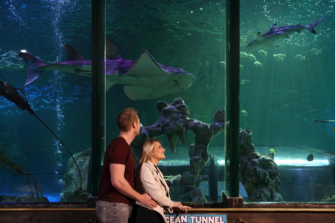 SEA LIFE Blackpool Admission Ticket - Walking through the tropical reef tunnel