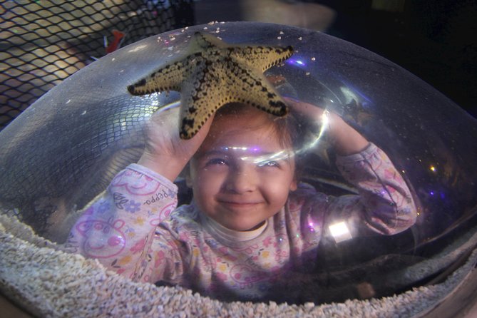 SEA LIFE Blackpool Admission Ticket - Seahorse Kingdom and a conservation message