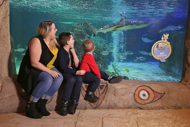 SEA LIFE Blackpool Admission Ticket - Jellyfish, eels, and the submarine section