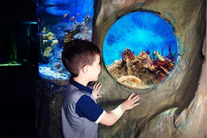SEA LIFE Blackpool Admission Ticket - A rainforest with frogs, turtles, and piranhas
