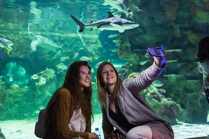 SEA LIFE Brighton Admission Ticket - Walking Under the Sharks and Turtles