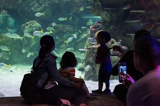 SEA LIFE Brighton Admission Ticket - Secrets of the Reef and the Maldives
