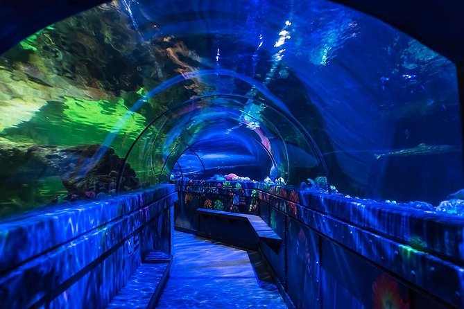 SEA LIFE Brighton Admission Ticket - How Long to Allow and What the Price Buys