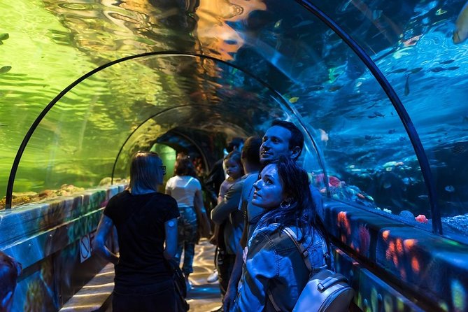 SEA LIFE Brighton Admission Ticket - Who Will Get the Most From This Visit