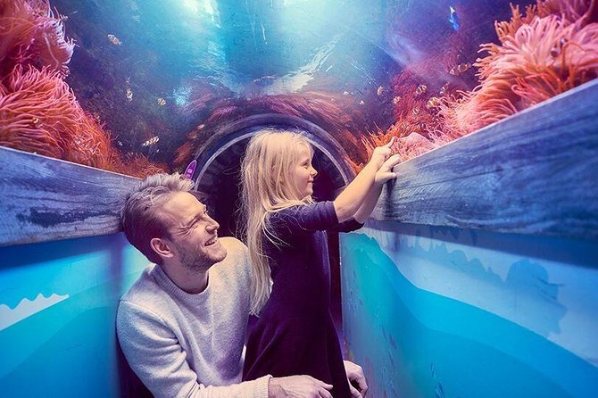 SEA LIFE Brighton Admission Ticket - Booking, Printing, and Timing Tips