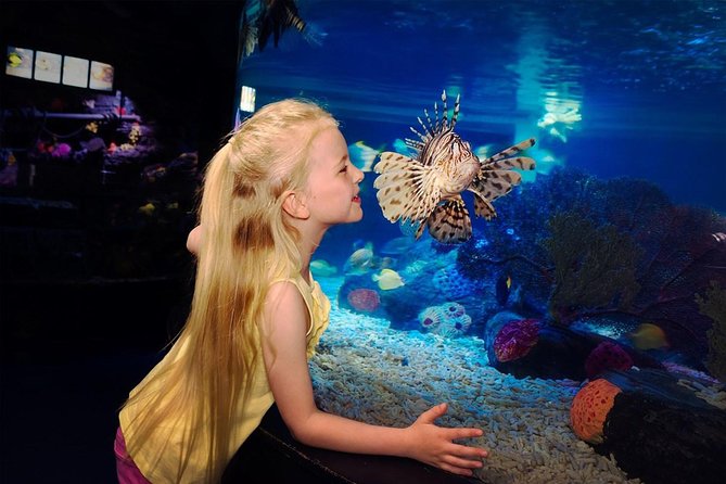 SEA LIFE Great Yarmouth General Admission - What your SEA LIFE Great Yarmouth visit is really like