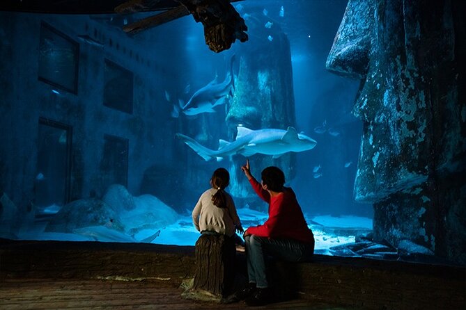 SEA LIFE London Aquarium Admission Ticket - Shark Reef Encounter and the larger tanks