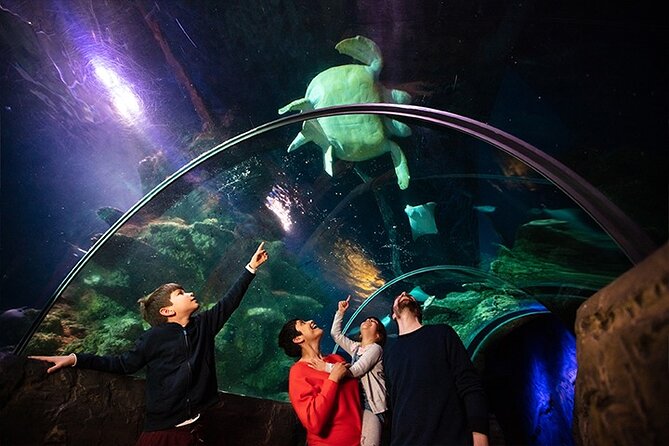 SEA LIFE London Aquarium Admission Ticket - Penguins, turtles, and hands-on areas