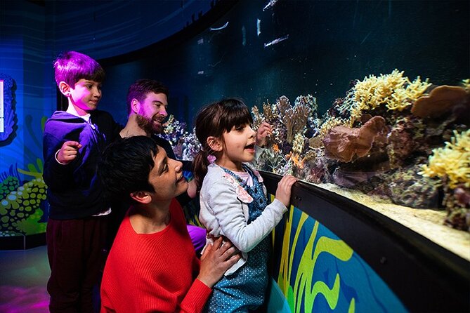 SEA LIFE London Aquarium Admission Ticket - How crowded and comfortable is the visit?