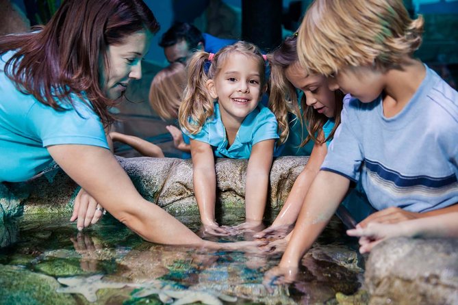 SEA LIFE Manchester Admission Ticket - Tropical ocean views and the SeaTREK window