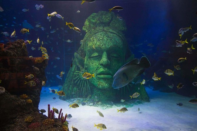 SEA LIFE Manchester Admission Ticket - Rockpools bring the visit down to child level