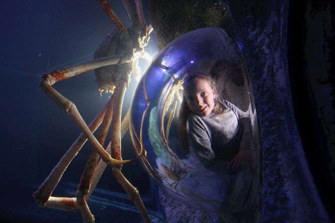 SEA LIFE Manchester Admission Ticket - Conservation Cove ends with a useful message