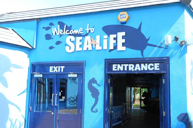SEA LIFE Weymouth Admission Ticket - Is the $19.34 Ticket Good Value?