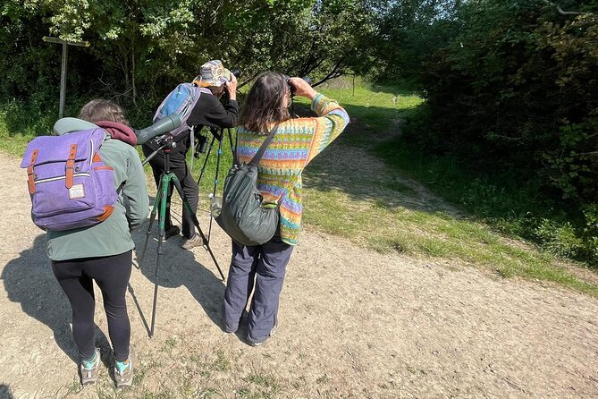 Sussex Birdwatching Private Guided Day Tour - Who should book this experience