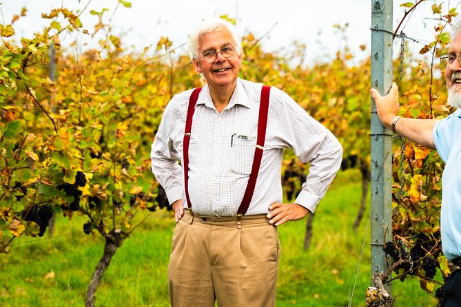 Sussex Vineyard & Winery Bus Tour on Iconic Vintage London Bus - Court Gardens Farm and the first English wine tasting