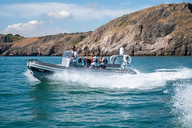 Torquay Coastal RIB Seafari - Ore Stone, a bird reserve you cannot visit on foot