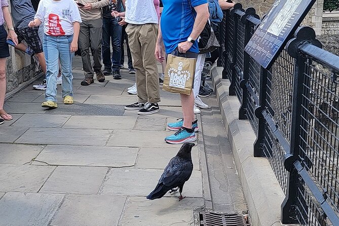 Tower of London: Guided Tour with Thames River Cruise - Is $69.95 good value?