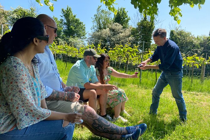 Wine & Cheese in the Somerset Valleys - with Michelin-star lunch! - 10:30 a.m. at Limeburn Hill Vineyard