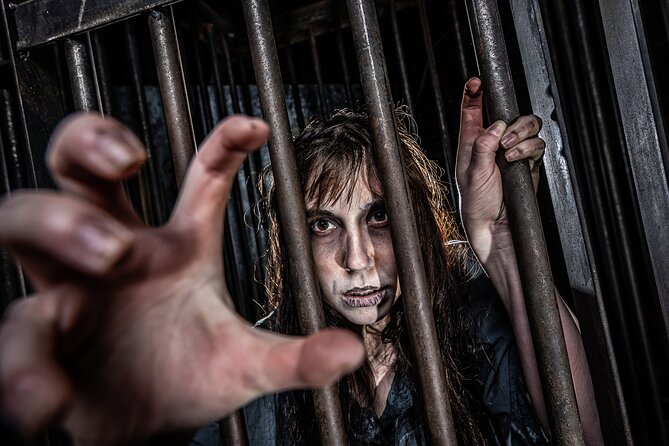 York Dungeon Entry Ticket - York Dungeon turns dark history into live theatre